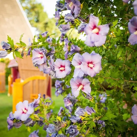 Kleine Glueck - Adults Only Sankt Peter-Ording